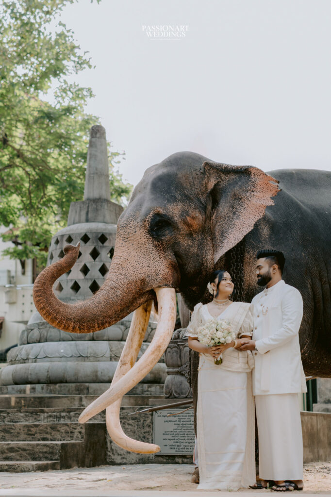Tharaka & Nethaki Engagement Passionart